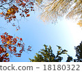 Fall border - A 18180322