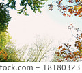 Fall border - B 18180323