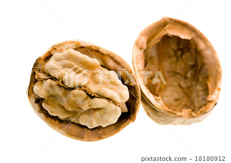 Walnut Walnut 18180912