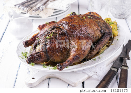 Stuffed Christmas Duck Stuffed Christmas Duck 18181575