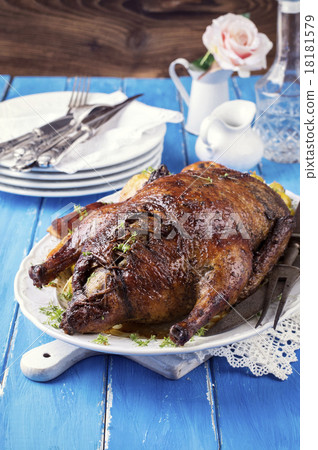 Stuffed Christmas Duck 18181579