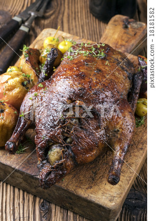 Stuffed Christmas Duck 18181582