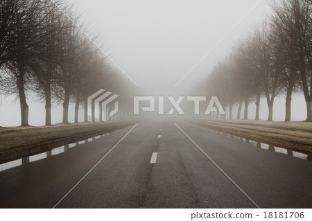 the road in winter the road in winter 18181706