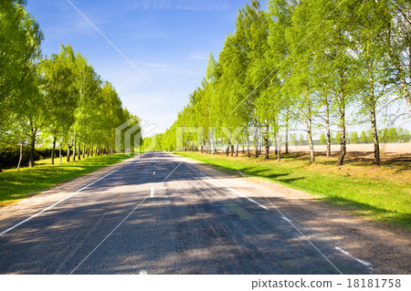 Spring road Spring road 18181758
