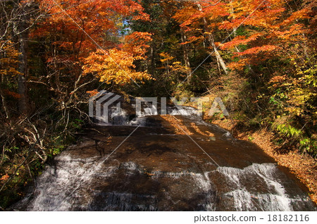 秋葉的瀑布 18182116