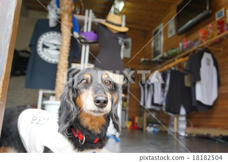 Apparel 1 day manager 18182504