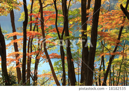 Fall of Aoki Lake 18182535