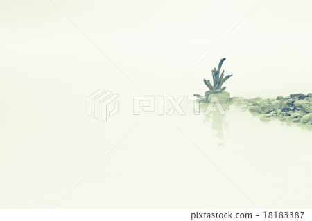 Foggy Lake Foggy Lake 18183387