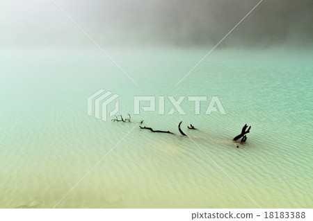 Driftwood in Foggy Lake 18183388