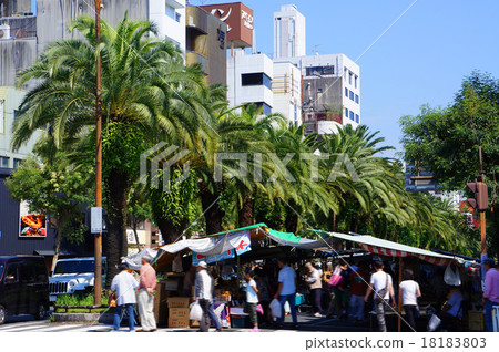 Sunday city of Tanagawa Tosa 18183803