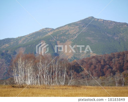Ozegahara of late autumn 18183849