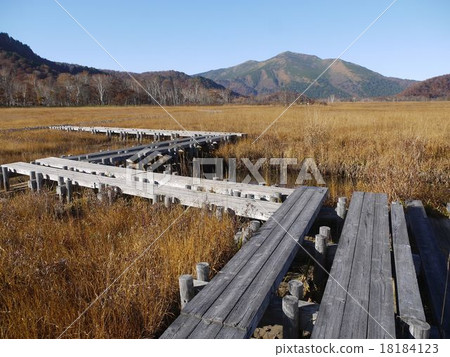 深秋的Ozegahara 18184123