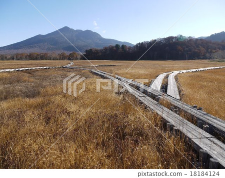 深秋的Ozegahara 深秋的Ozegahara 18184124