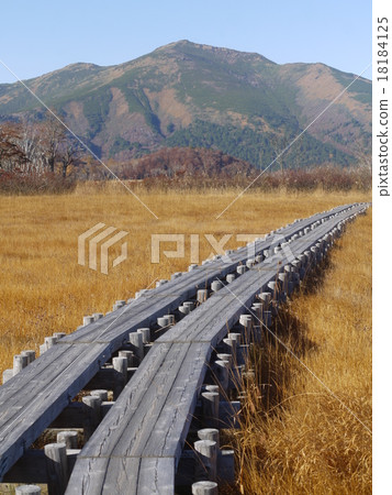 深秋的Ozegahara 18184125