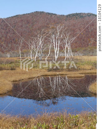 Ozegahara of late autumn 18184129