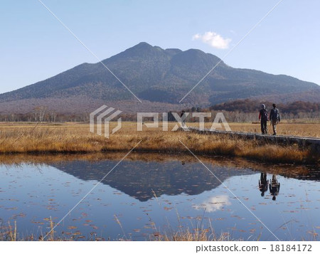 深秋的Ozegahara 18184172