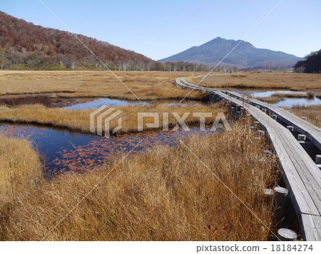 Ozegahara of late autumn 18184274