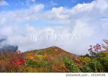 View from the hill slope 18184546