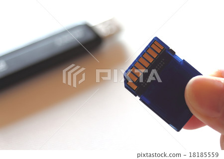 SD卡 SD卡 18185559