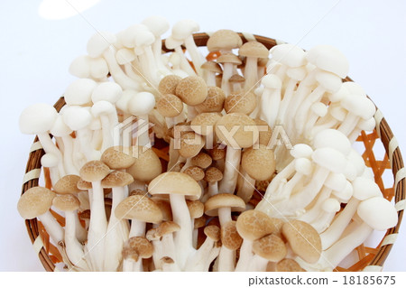 籃子上有兩種shimeji 18185675