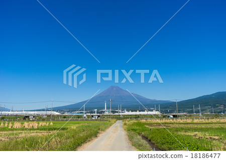 Rural landscape and Mount Fuji 18186477