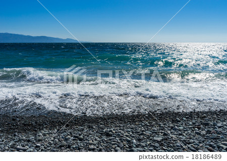 駿河灣原始海岸 駿河灣原始海岸 18186489