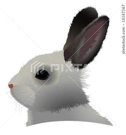 Rabbit head - Stock Illustration [18187167] - PIXTA