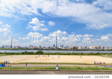 從荒川河床看Kine河橋體育場和東京天空樹 從荒川河床看Kine河橋體育場和東京天空樹 18188199
