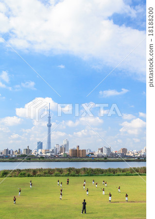 從荒川河床看Kine河橋體育場和東京天空樹 18188200