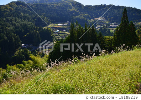 Ochiai settlement (Tokushima prefecture Miyoshi shi Higashi Iya Ochiai Ochiai and Buckwheat field) 4 (National preservation Important Traditional Building Group Conservation Area) 18188219