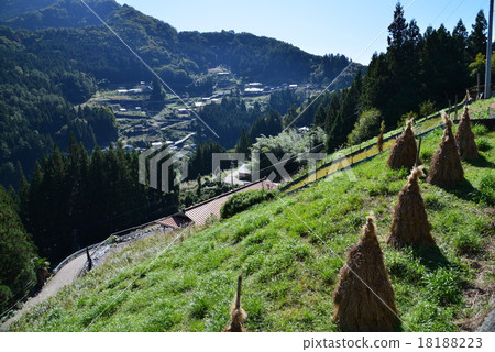落合定居點（Tokijima縣三次市Higashi Iya Ochiai Coegro）8（國民保護重要的傳統建築群保存區域） 18188223