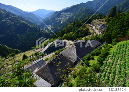 Ochiai settlement (Tokushima prefecture Miyoshi city Higashi Iya Ochiai) 9 (National preservation important traditional building group preservation area) 18188224