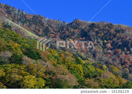 Kanezan 3 which starts autumn leaves (Miyoshi city Higashi Iya, Tokushima prefecture) (Jirou-kuu Pass) 18188229