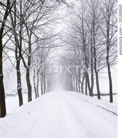 the winter road   18188660