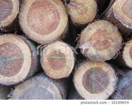 Wood 18189654