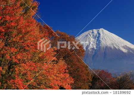富士山和富士山 富士山和富士山 18189692