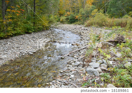 在森林/ Seseragi(Yakushiyama /東南腳/新潟縣妙高市)流 在森林/ Seseragi(Yakushiyama /東南腳/新潟縣妙高市)流 18189861