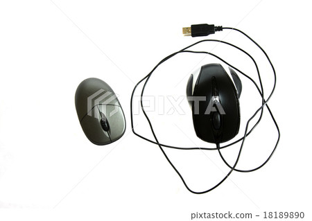 computer mouse computer mouse 18189890