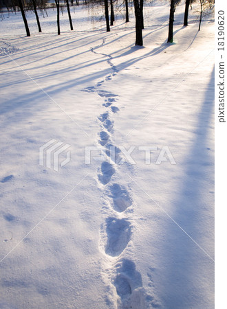 snow. Winter 18190620