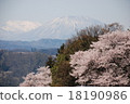 Kurohimeyama in Nagano Prefecture and cherry blossoms (cherry blossoms in Hokushin) 18190986