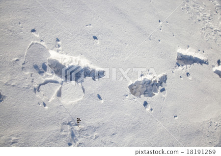 human footprints on sneu human footprints on sneu 18191269