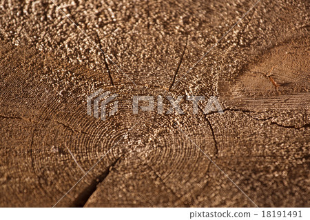 Cut of wooden log Cut of wooden log 18191491
