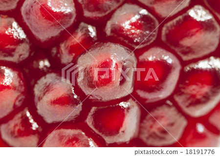 pomegranate  18191776