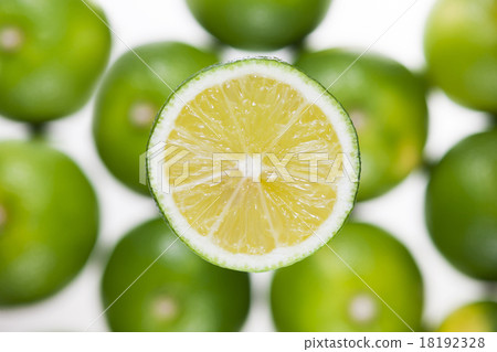 酸橘 酸橘 18192328