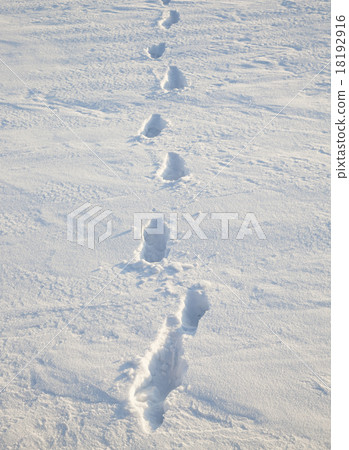 traces on snow traces on snow 18192916