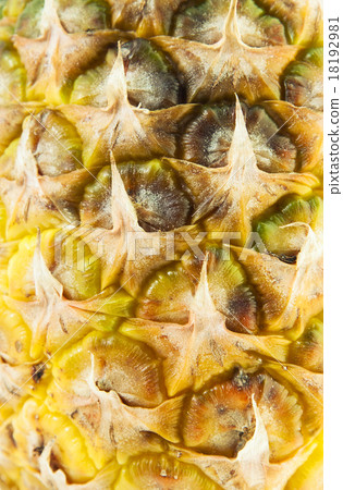 pineapple   18192981