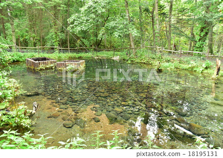 The water of coming 18195131