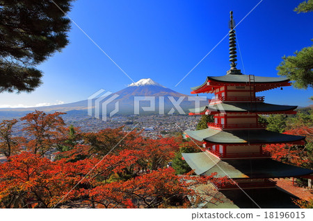 Fuji Niigakura Asama Shrine Cherry tree autumn leaves and Mt. Fuji 18196015