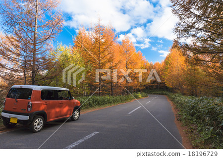 秋天的高地驅動器 18196729