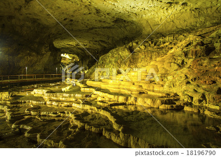 Shuhohora Shuhohora 18196790